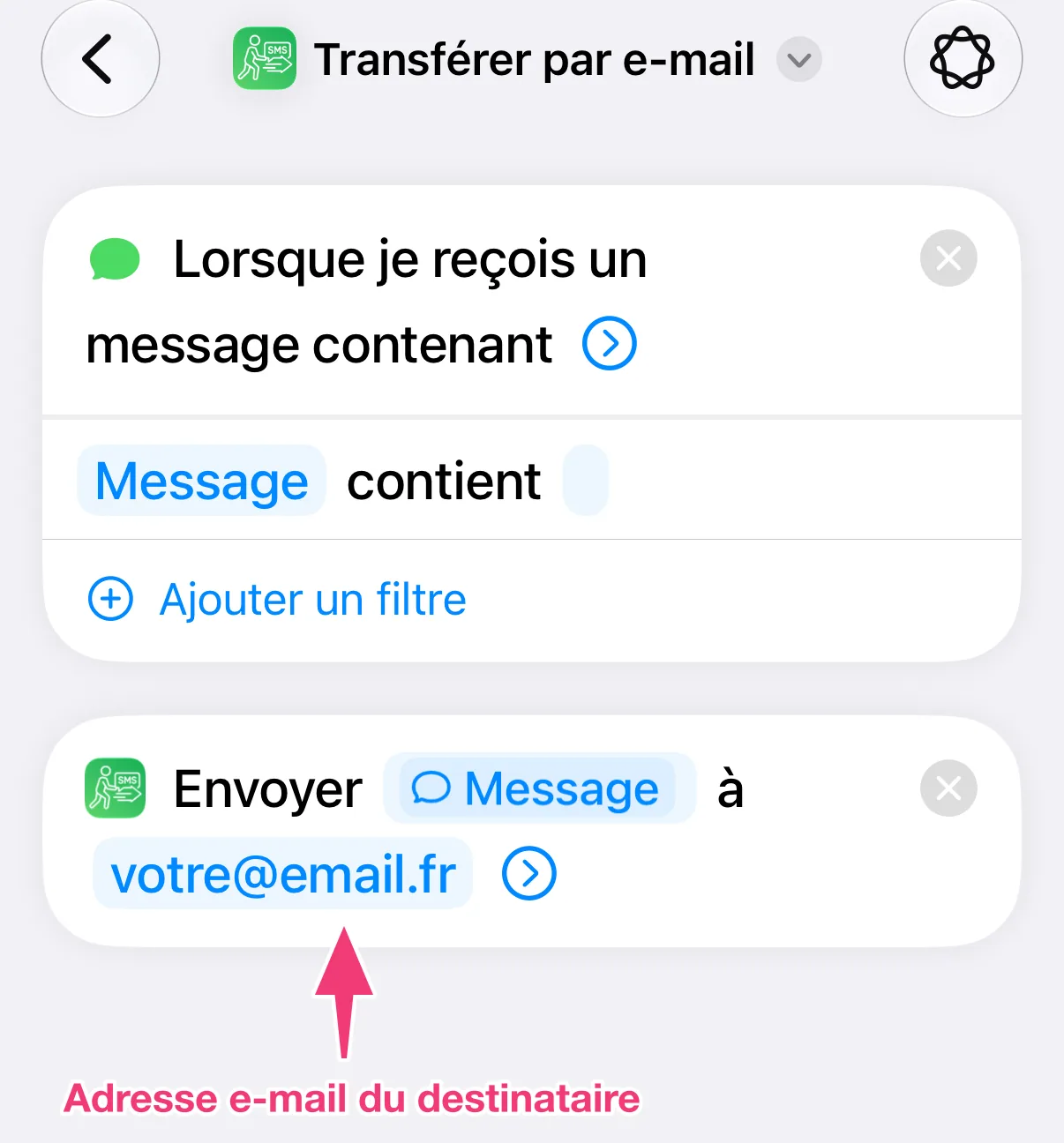 Capture : adresse e-mail du destinataire