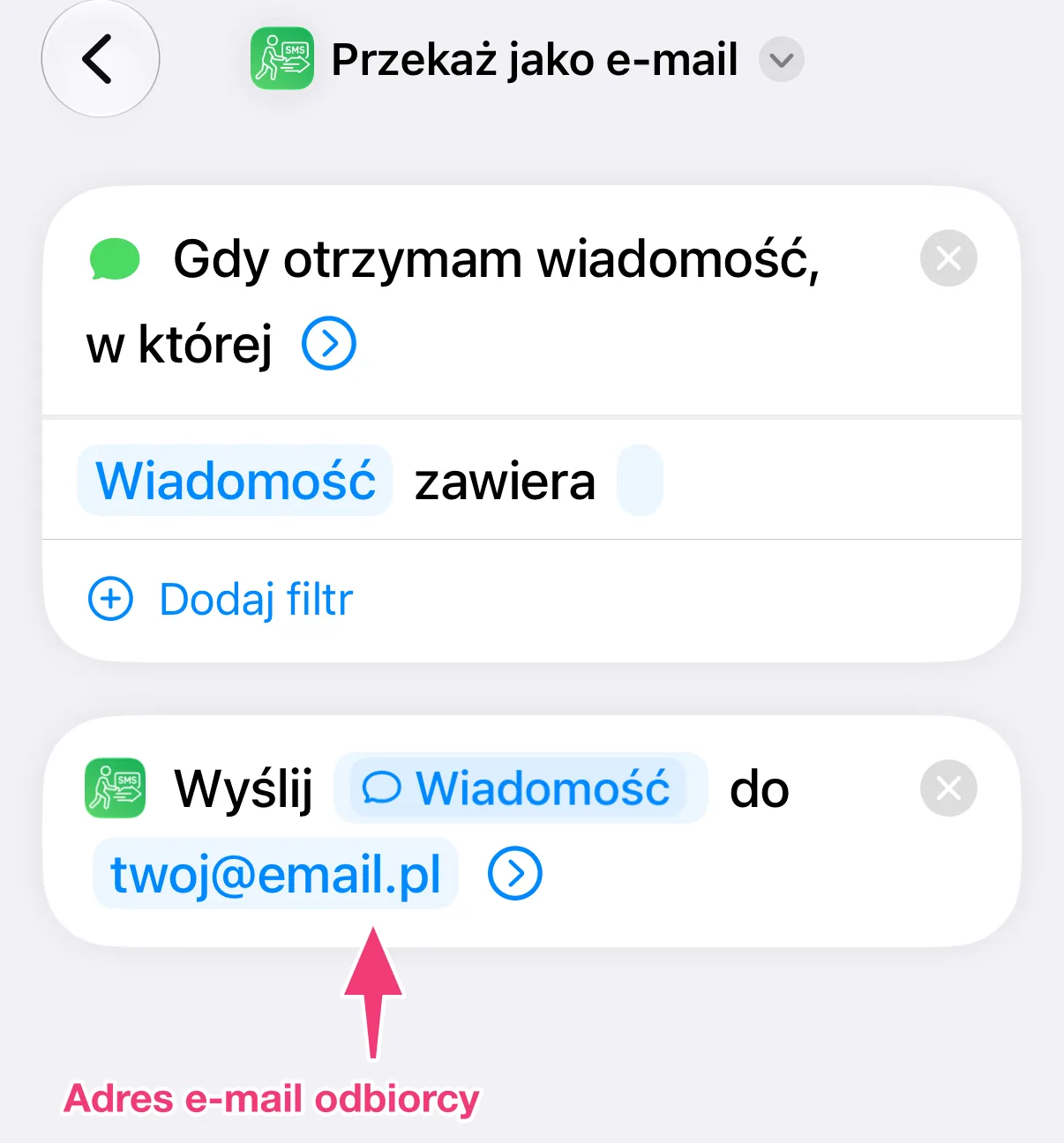 Zrzut ekranu: adres e-mail odbiorcy
